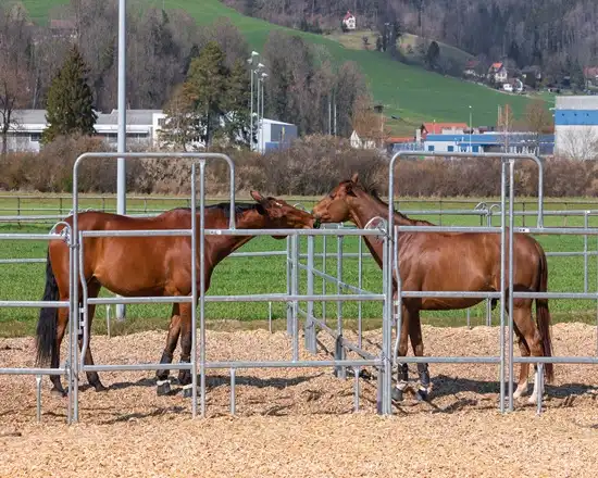 horse panel fence